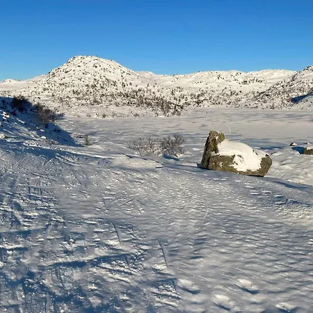 Lovely In With Kitchen Vikeså